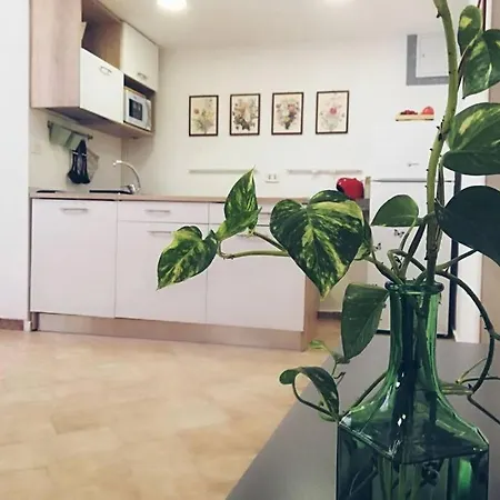 Tatil Evi Palazzo Manfredi 37 *